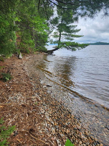 Prêt-à-piquer – Témiscamingue