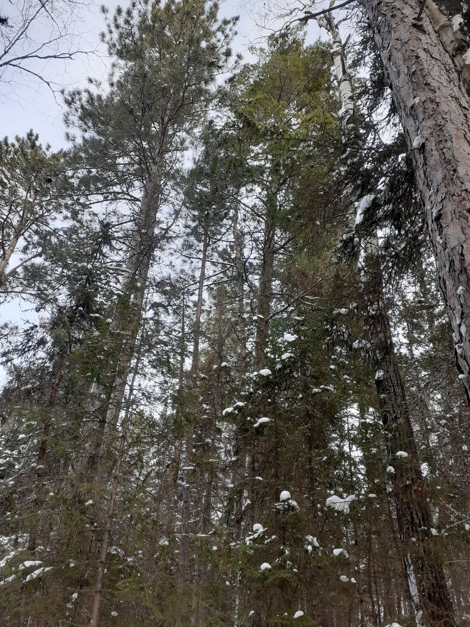 camping-temiscamingue